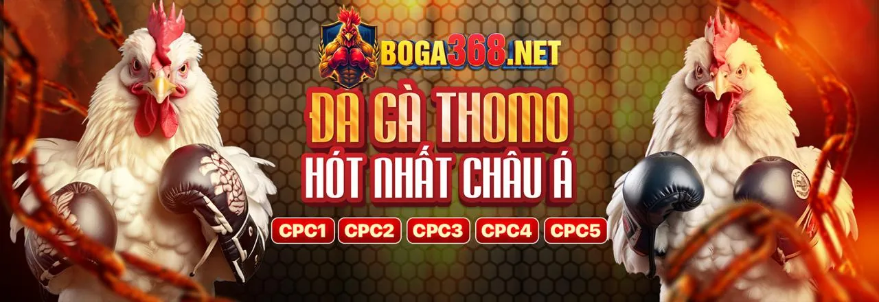 Sân đấu đá gà trực tuyến sôi động tại mu66 trang chủ chính thức